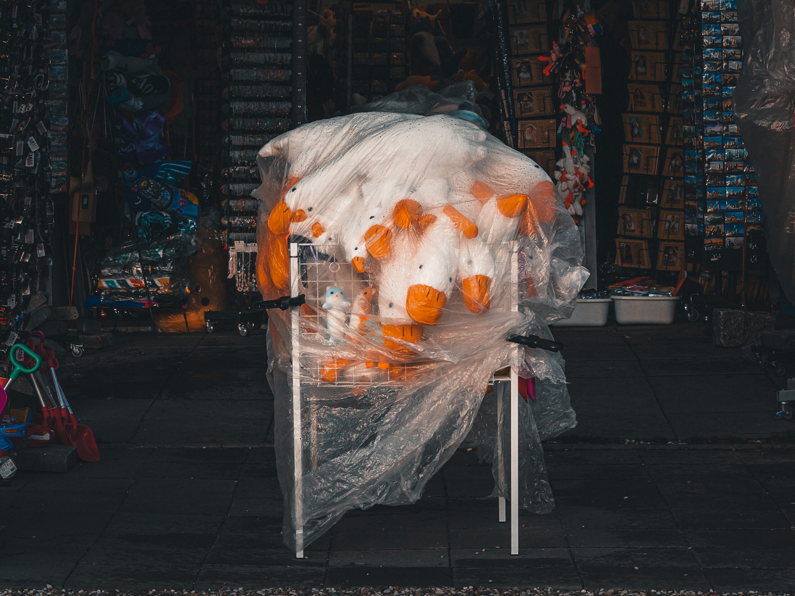 Photography titled Helpless by Demetriusz Wenglarczyk